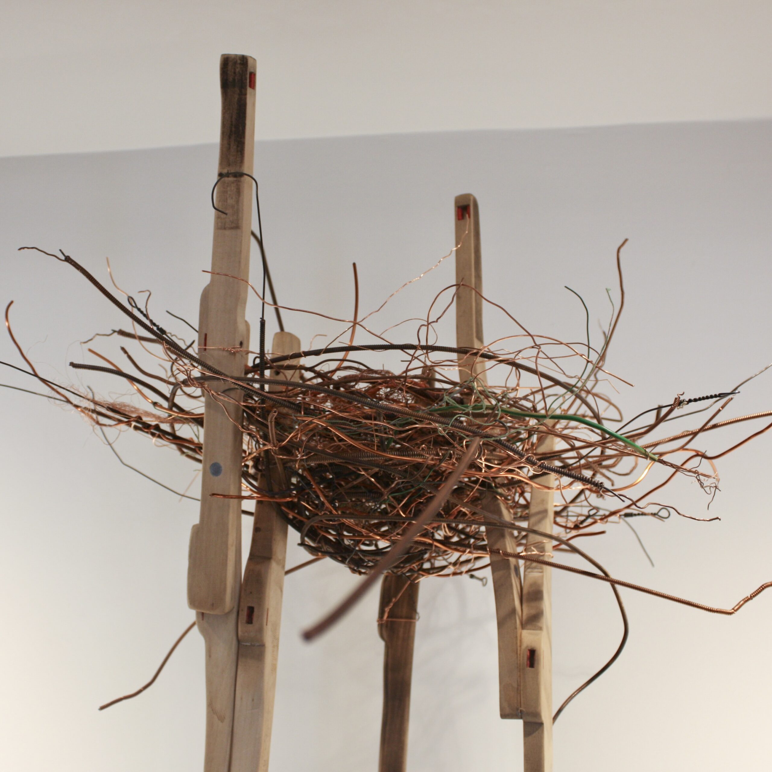 Nest By Fiona Campbell - Image 3