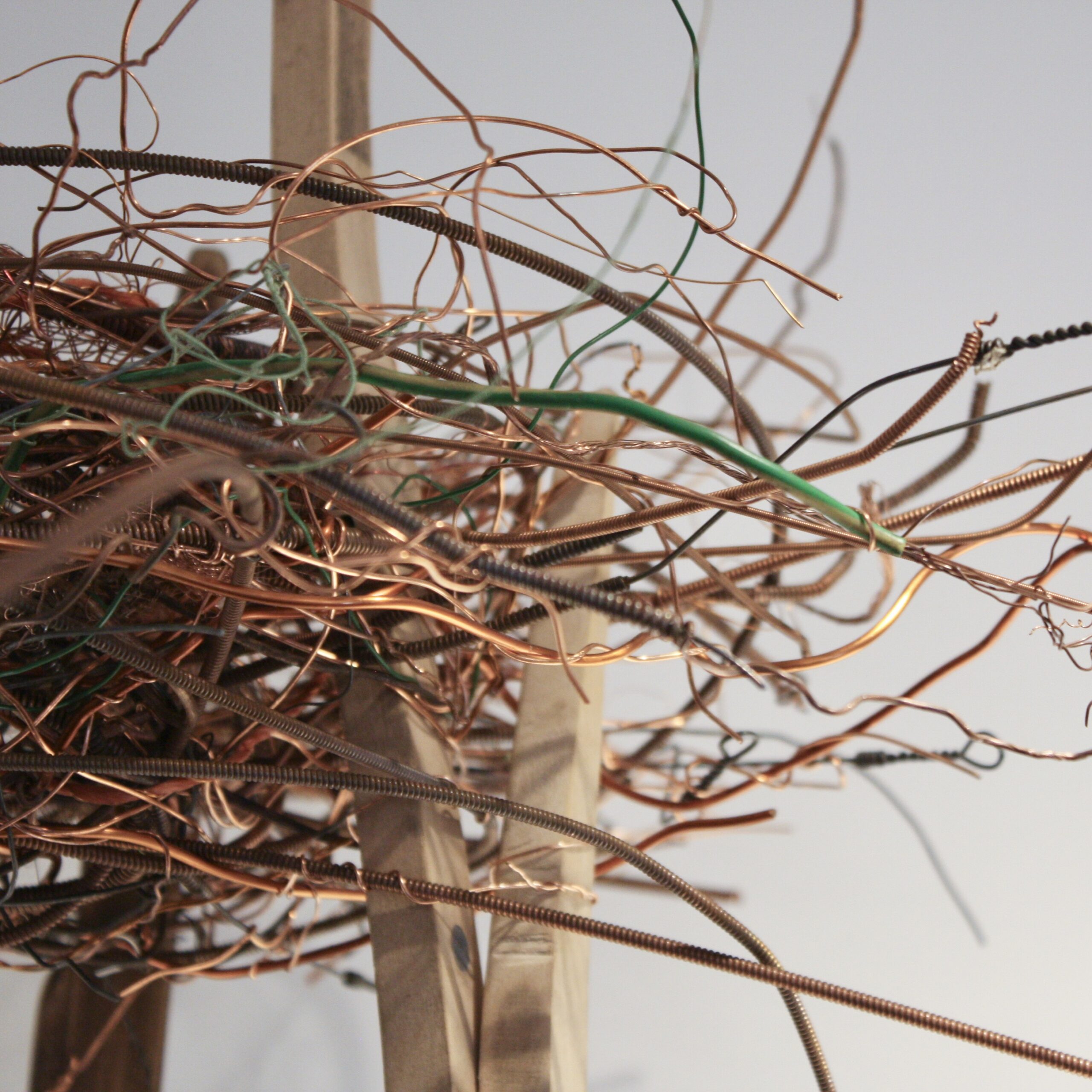 Nest By Fiona Campbell - Image 2