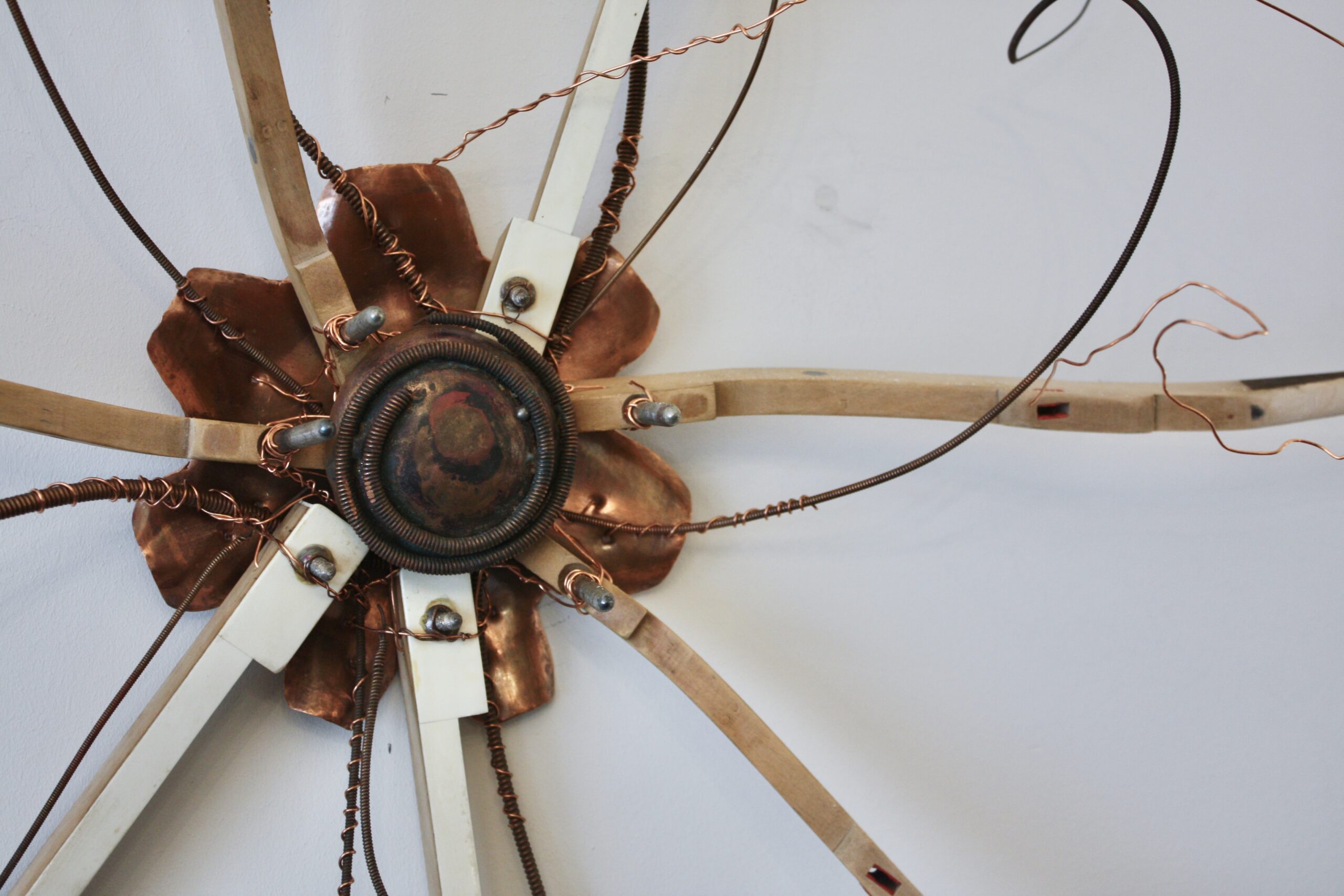 Starfish By Fiona Campbell - Image 3