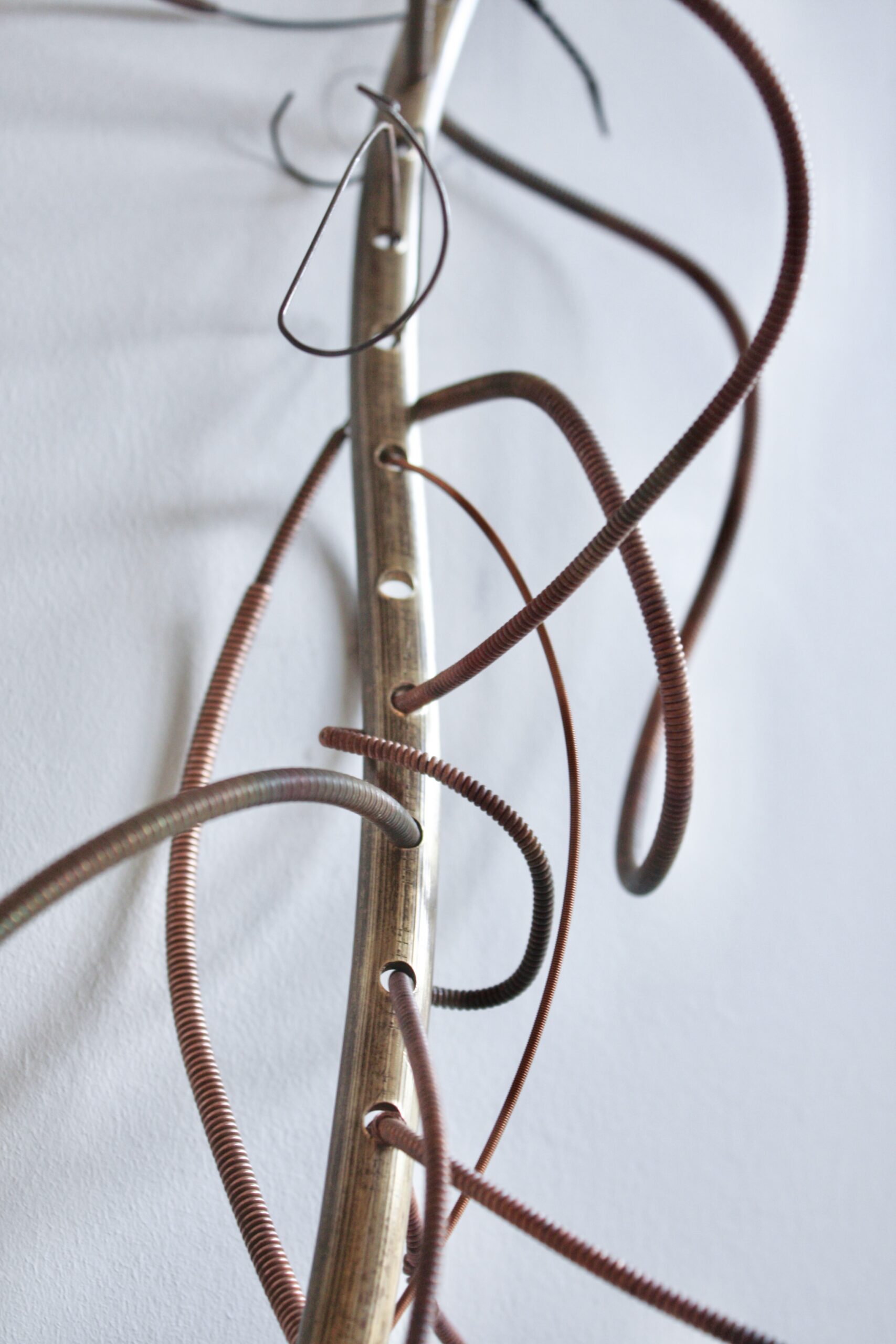 String Theory By Fiona Campbell - Image 2