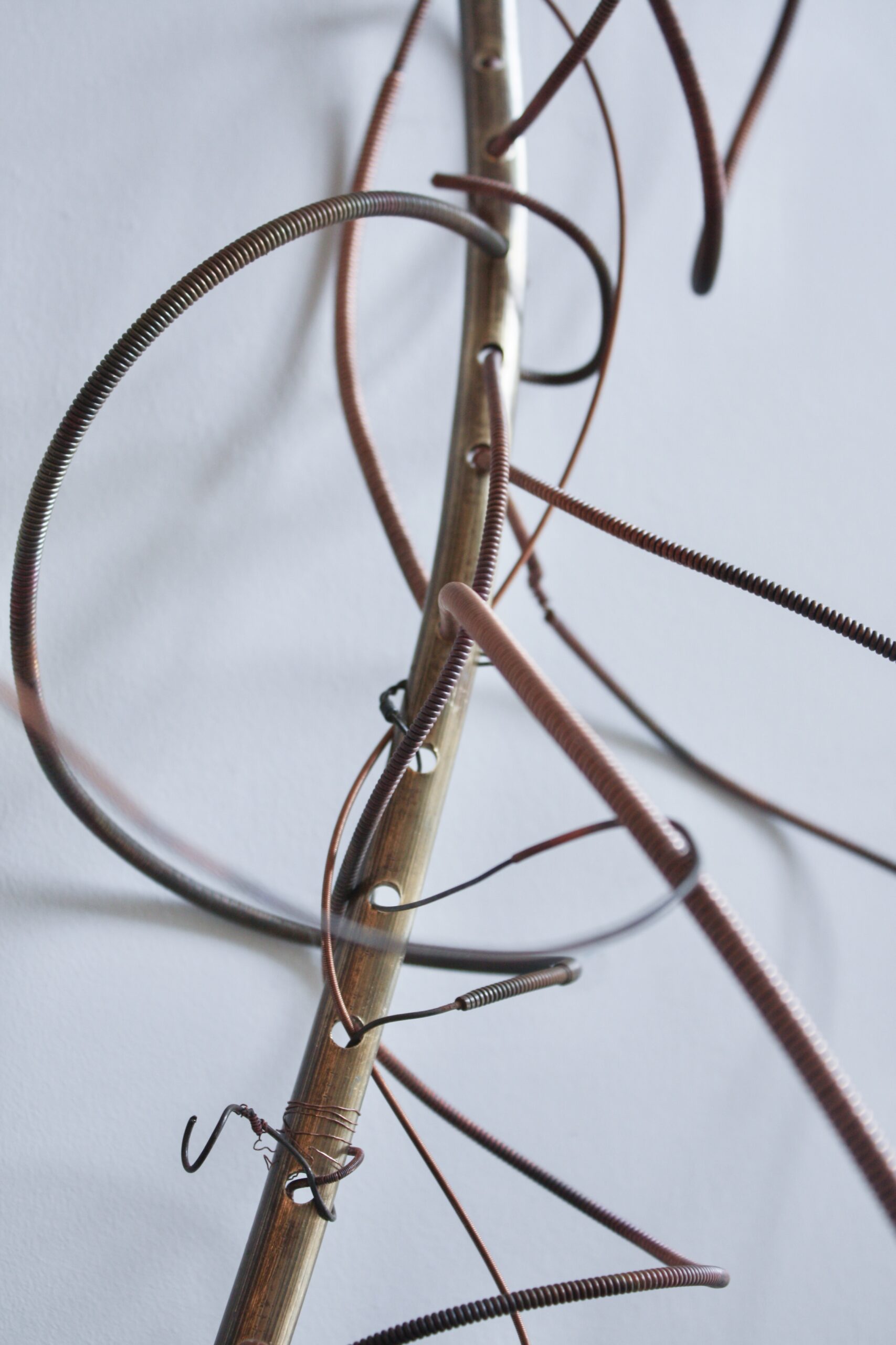 String Theory By Fiona Campbell - Image 3