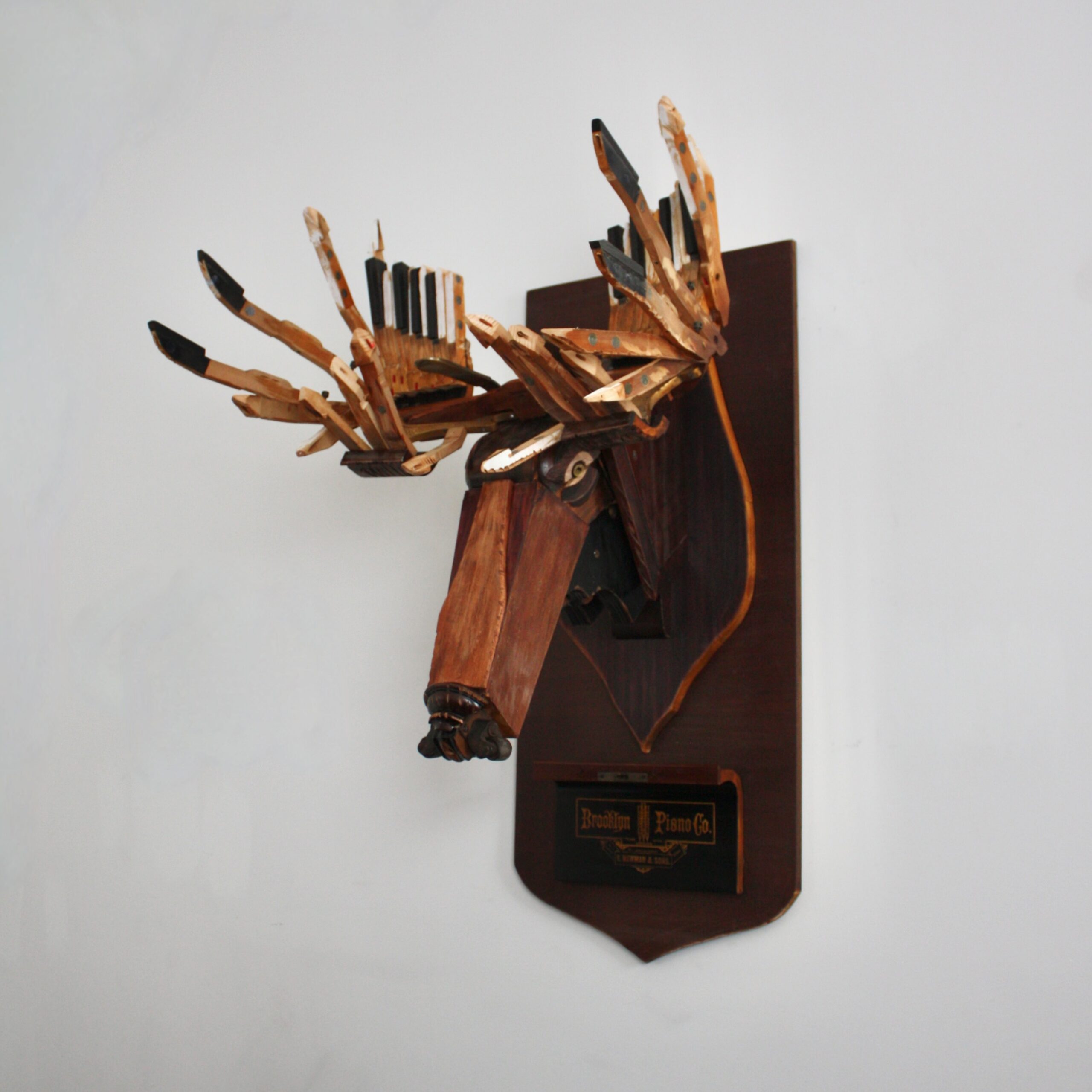 Moose by Marc Hackworthy