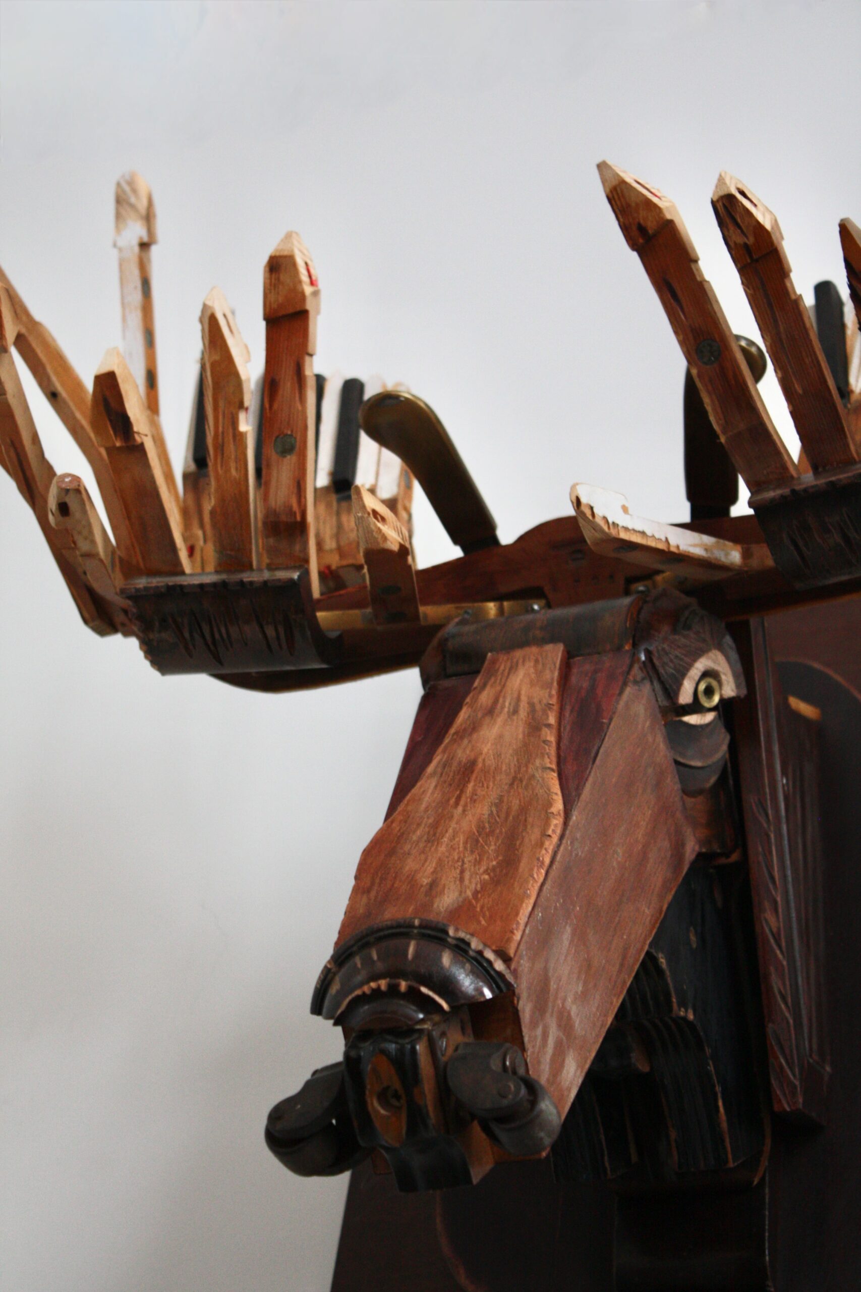 Moose by Marc Hackworthy - Image 2