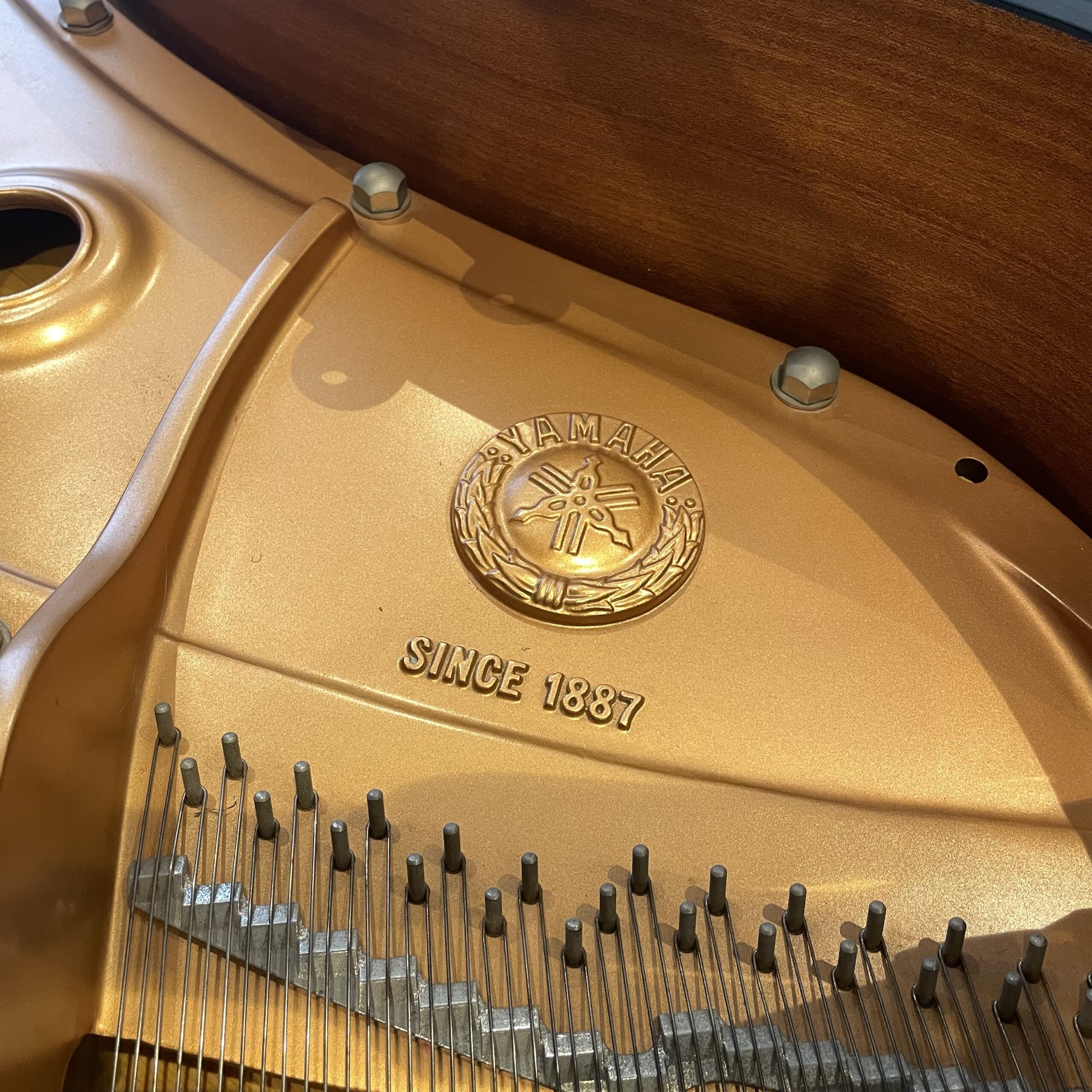 A Yamaha C3 Grand Piano - Image 5